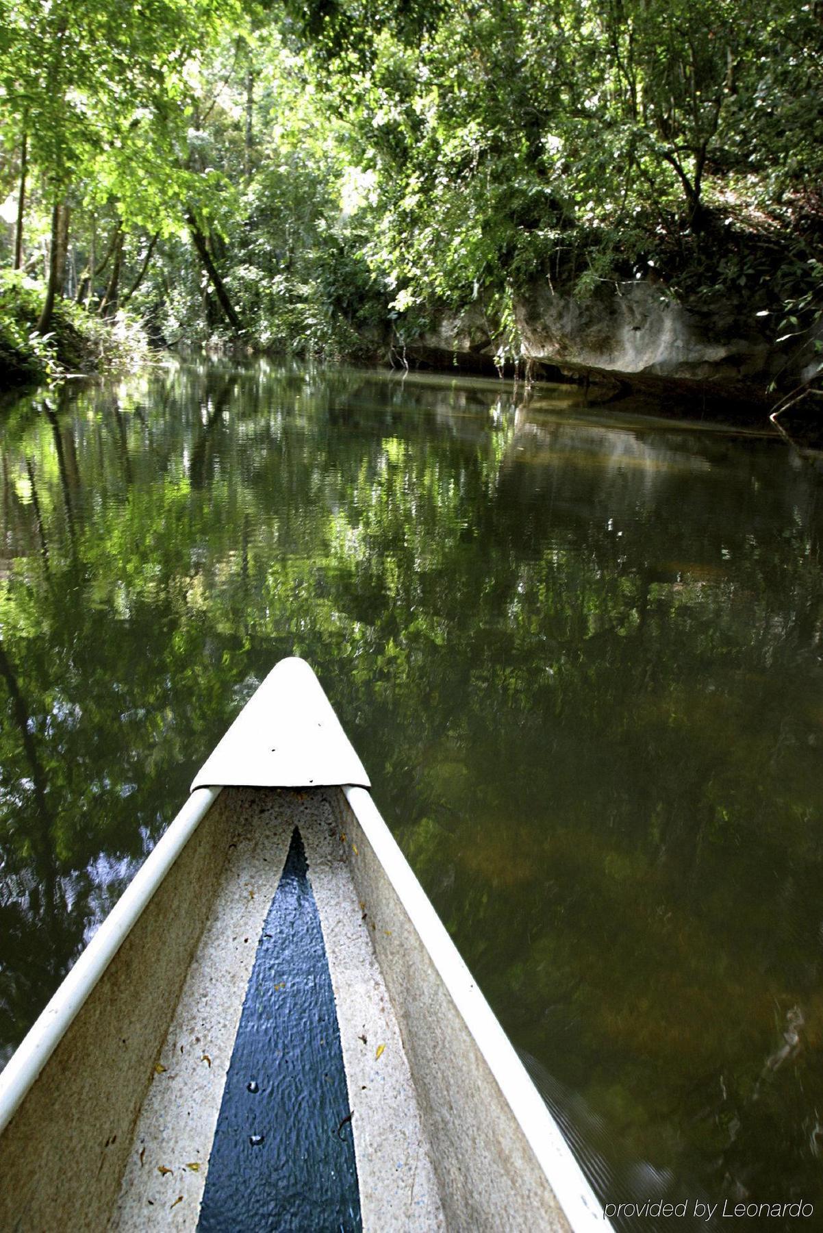 Machaca Hill Rainforest Canopy Lodge Punta Gorda Kültér fotó