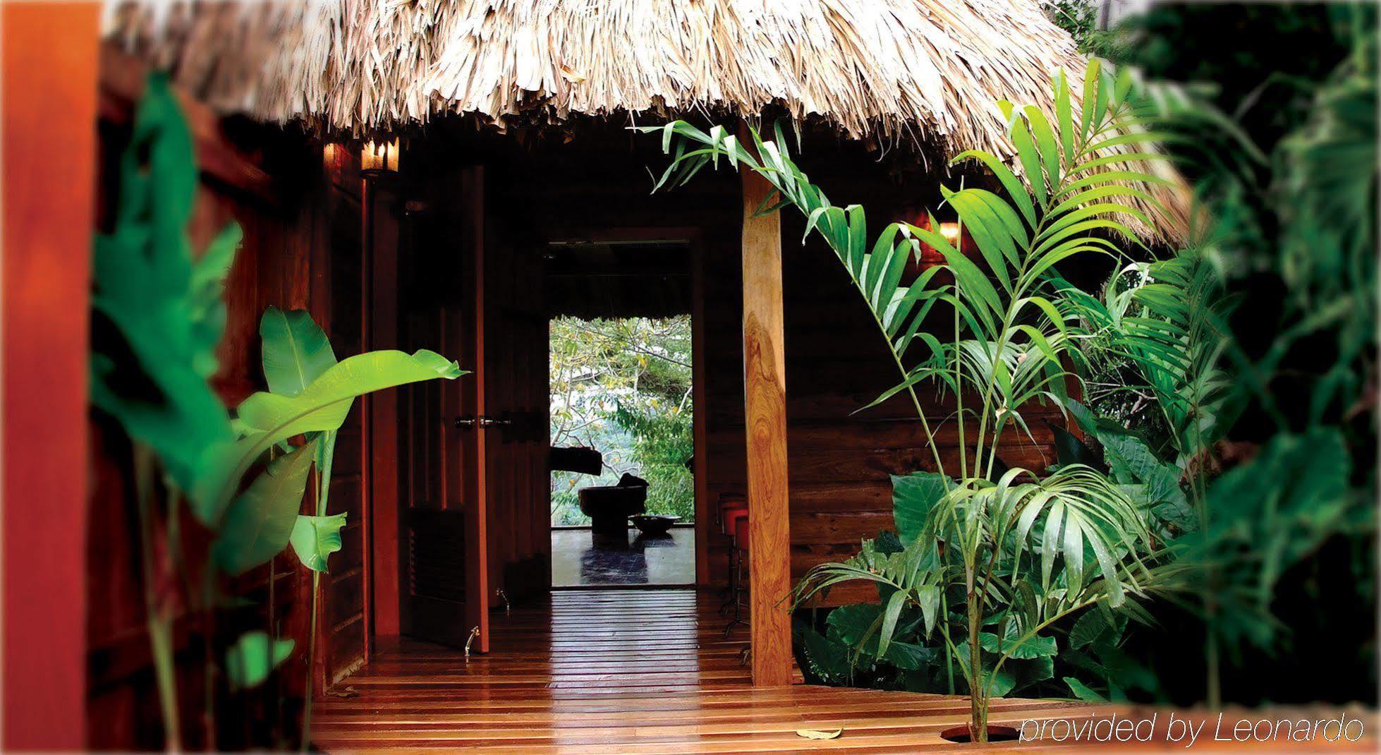 Machaca Hill Rainforest Canopy Lodge Punta Gorda Kültér fotó
